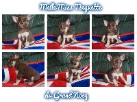 Melle Miss Tinguette